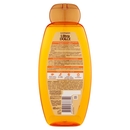 Garnier Shampoo Ultra Dolce Meraviglioso, Shampoo per Capelli Secchi, 600 ml